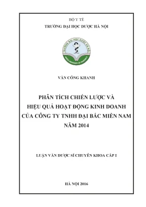 Luận văn thạc sĩ phân tích chiến lược và hiệu quả hoạt động kinh doanh của công ty tnhh đại bắc miền nam năm 2014 min