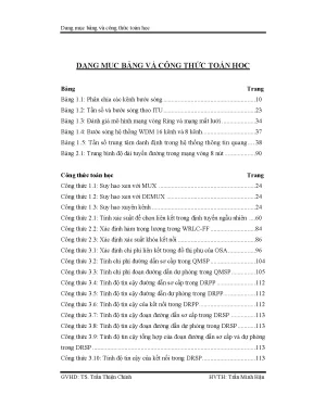 Điều khiển động trong mạng quang wdm luận án thạc sỹ khoa học kỹ thuật chuyên ngành kỹ thuật điện tử