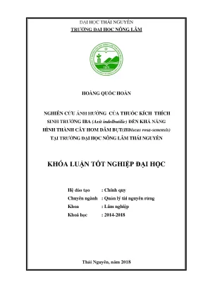 Luận văn nghiên cứu ảnh hưởng của thuốc kích thích sinh trưởng iba axit indolbutilicđến khả năng hình thành cây hom dâm bụt hibiscus rosa sinensis tại trường