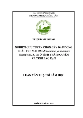 Luận văn thạc sĩ nghiên cứu tuyển chọn cây đầu dòng loài tre mai dendrocalamus yunnanicushsueh et d z li ở tỉnh thái nguyên và tỉnh bắc kạn