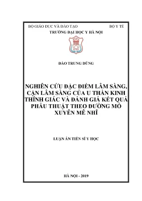 Luận án tiến sĩ nghiên cứu đặc điểm lâm sàng cận lâm sàng của u thần kinh thính giác và đánh giá kết quả phẫu thuật theo đường mổ xuyên mê nhĩ