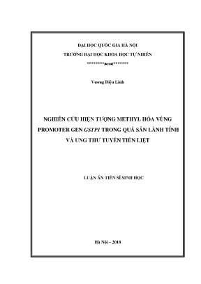 Luận án tiến sĩ nghiên cứu hiện tượng methyl hóa vùng promoter gen gstp1 trong quá sản lành tính và ung thư tuyến tiền liệt