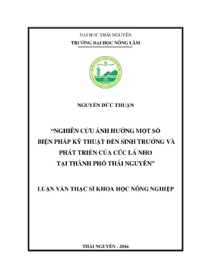 Luận văn thạc sĩ nghiên cứu ảnh hưởng một số biện pháp kỹ thuật đến sinh trưởng và phát triển của cúc lá nho tại thành phố thái nguyên
