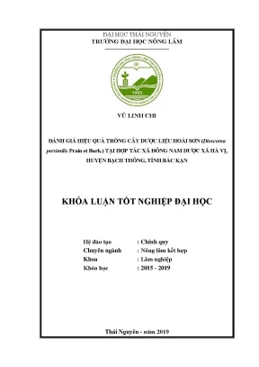 Luận văn đánh giá hiệu quả trồng cây dược liệu hoài sơn dioscorea persimilis prain et burk tại hợp tác xã đông nam dược xã hà vị huyện bạch thông tỉnh bắc kạn