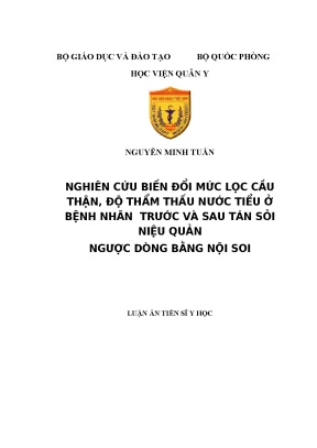 Luận án tiến sĩ nghiên cứu biến đổi mức lọc cầu thận độ thẩm thấu nước tiểu ở bệnh nhân trước và sau tán sỏi niệu quản ngược dòng bằng nội soi