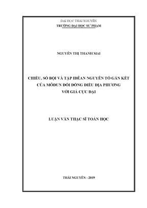 Luận văn thạc sĩ chiều số bội và tập iđêan nguyên tố gắn kết của môđun đối đồng điều địa phương với giá cực đại