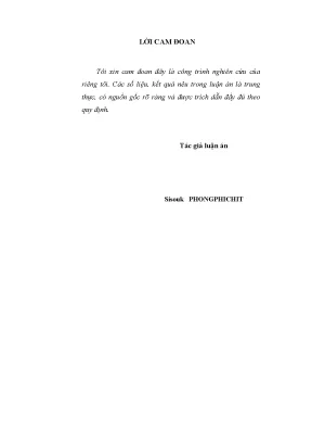 Luận án tiến sĩ triết học nâng cao năng lực tư duy lý luận cho cán bộ chủ chốt cấp tỉnh ở miền nam nước cộng hòa dân chủ nhân dân lào hiện nay