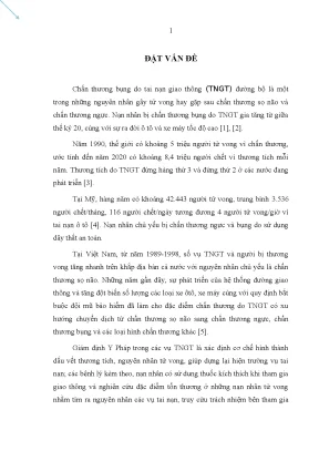 Luận án tiến sĩ nghiên cứu hình thái của chấn thương bụng trên những nạn nhân tử vong do tai nạn giao thông đường bộ qua giám định y pháp