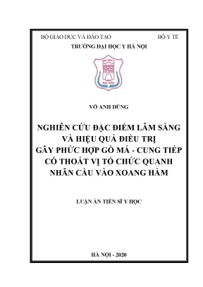 Luận án tiến sĩ nghiên cứu đặc điểm lâm sàng và hiệu quả điều trị gãy phức hợp gò má cung tiếp có thoát vị tổ chức quanh nhãn cầu vào xoang hàm