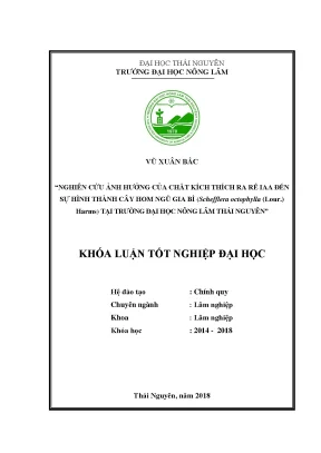 Luận văn nghiên cứu ảnh hưởng của chất kích thích ra rễ iaa đến sự hình thành cây hom ngũ gia bì schefflera octophylla lour harms