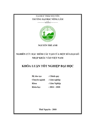 Luận văn nghiên cứu đặc điểm cấu tạo của một số loại gỗ nhập khẩu vào việt nam