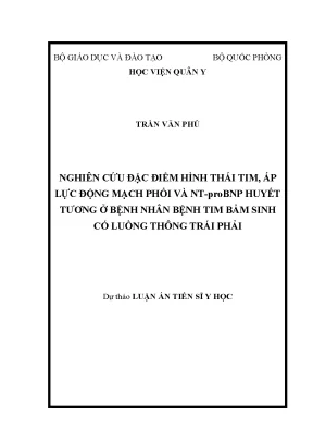 Luận án tiến sĩ nghiên cứu biến đổi hình thái tim áp lực động mạch phổi và nt probnp huyết tương ở bệnh nhân tim bẩm sinh có luồng thông trái phải trước và sau can thiệp