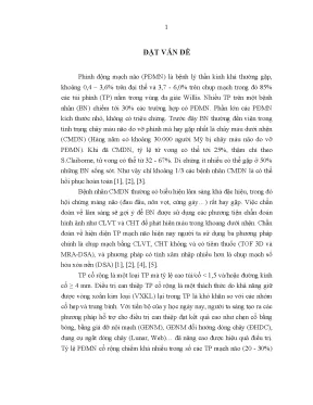 Luận án tiến sĩ nghiên cứu điều trị phình động mạch não cổ rộng bằng phương pháp can thiệp nội mạch