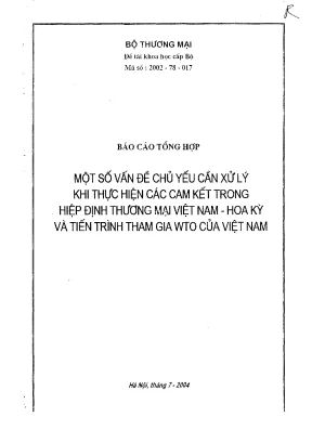 Luận văn một số vấn đề chủ yếu cần xử lý khi thực hiện các cam kết trong hiệp định thương mại việt nam hoa kỳ và tiến trình tham gia wto của việt nam