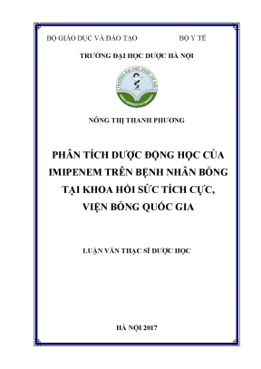 Luận văn thạc sĩ dược học phân tích dược động học của imipenem trên bệnh nhân bỏng tại khoa hồi sức tích cực viện bỏng quốc gia