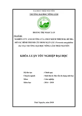 Luận văn nghiên cứu ảnh hưởng của thuốc kích thích ra rễ iba đến sự hình thàng cây hom mật gấu tại trường đại học nông lâm thái nguyên