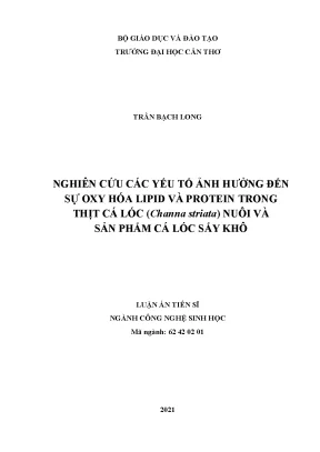 Luận án tiến sĩ nghiên cứu các yếu tố ảnh hưởng đến sự oxy hóa lipid và protein trong thịt cá lóc channa striata nuôi và sản phẩm cá lóc sấy khô