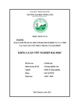 Luận văn bảo lãnh tín dụng đối với doanh nghiệp vừa và nhỏ trên địa bàn tỉnh thái nguyên thực trạng và giải pháp