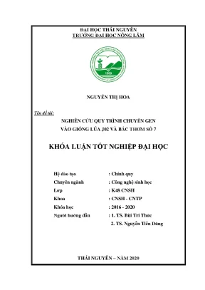 Luận văn nghiên cứu quy trình chuyển gen vào giống lúa j02 và bắcthơm số 7