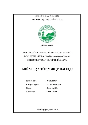 Luận văn nghiên cứu đặc điểm hình thái sinh thái loài gừng núi đá zingiber purpureum roscoe tại huyện vị xuyên tỉnh hà giang