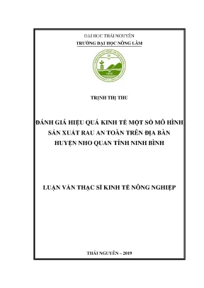 Luận văn thạc sĩ đánh giá hiệu quả kinh tế một số mô hình sản xuất rau an toàn trên địa bàn huyện nho quan tỉnh ninh bình