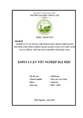Luận văn nghiên cứu sử dụng chế phẩm chất kích thích sinh trưởng cho nhân giống bằng giâm cành cây chè hoa vàng tại xã đông viên huyện chợ đồn tỉnh bắc kạn