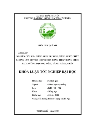 Luận văn nghiên cứu khả năng sinh trưởng năng suất chất lượng của một số hoa đồng tiền trồng chậu tại trường đại học nông lâm thái nguyên