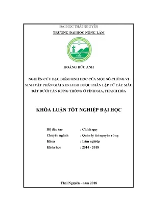 Luận văn nghiên cứu đặc điểm sinh học của một số chủng vi sinh vật phân giải xenlulo được phân lập dưới tán rừng thông ở tĩnh gia thanh hóa