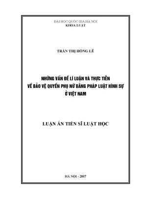 Luận án tiến sĩ những vấn đề lý luận và thực tiễn về bảo vệ quyền phụ nữ bằng pháp luật hình sự ở việt nam