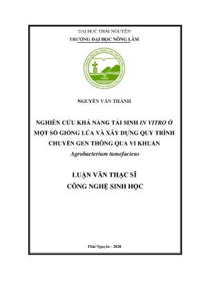 Luận văn thạc sĩ nghiên cứu khả năng tái sinh in vitro ở một số giống lúa và xây dựng quy trình chuyển gen thông qua vi khuẩn agrobacterium tumefaciens