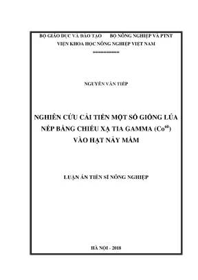 Luận án tiến sĩ nông nghiệp nghiên cứu cải tiến một số giống lúa nếp bằng chiếu xạ tia gamma co60 vào hạt nảy mầm