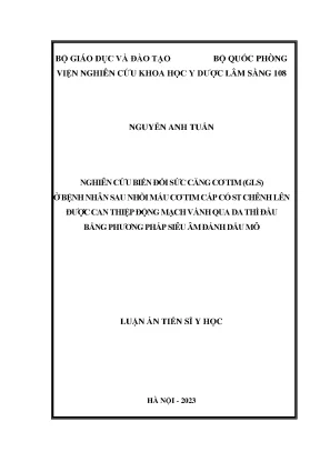 Luận án tiến sĩ nghiên cứu biến đổi sức căng cơ tim ở bệnh nhân nhồi máu cơ tim cấp có st chênh lên sau can thiệp động mạch vành qua da thì đầu bằng phương pháp siêu âm đánh dấu mô