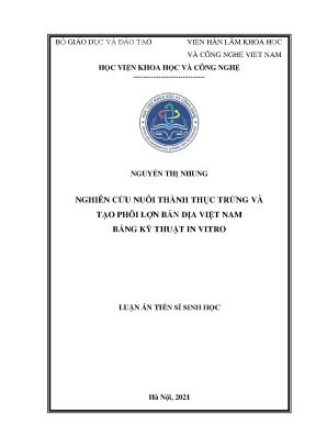 Luận án tiến sĩ sinh học nghiên cứu nuôi thành thục trứng và tạo phôi lợn bản địa việt nam bằng kĩ thuật in vitro