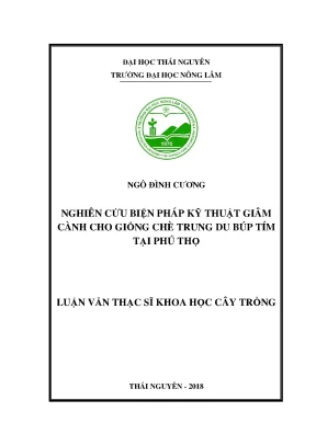 Luận văn thạc sĩ nghiên cứu biện pháp kỹ thuật giâm cành cho giống chè trung du búp tím tại phú thọ