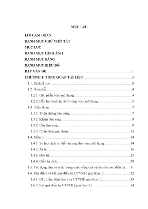 Luận án tiến sĩ đánh giá kết quả hóa xạ trị đồng thời trong ung thư vòm mũi họng giai đoạn ii tại bệnh viện k
