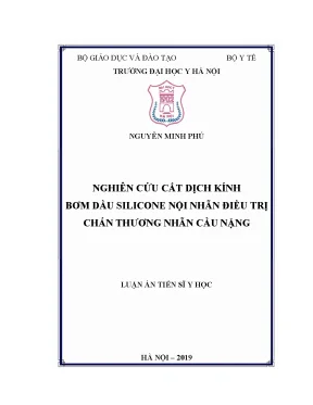 Luận án tiến sĩ nghiên cứu cắt dịch kính bơm dầu silicone nội nhãn điều trị chấn thương nhãn cầu nặng
