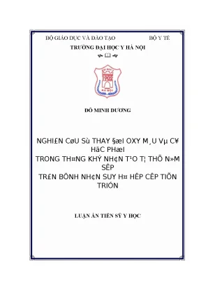Luận án tiến sĩ nghiên cứu sự thay đổi oxy máu và cơ học phổi trong thông khí nhân tạo tư thế nằm sấp trên bệnh nhân suy hô hấp cấp tiến triển