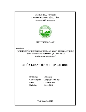 Luận văn nghiên cứu chuyển gen chịu lạnh atcbf1 trên cây thuốc lá nicotiana tobacum l thông qua vi khuẩn agrobacterium tumefaciens