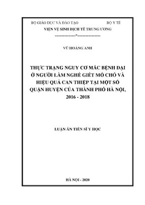 Luận án tiến sĩ thực trạng nguy cơ mắc bệnh dại ở người làm nghề giết mổ chó và hiệu quả can thiệp tại một số quận huyện của thành phố hà nội