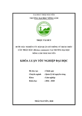 Luận văn bước đầu nghiên cứu sử dụng dịch chiết từ cây thầu dầu ricinus communis trong bảo quản gỗ thông tại trường đại học nông lâm thái nguyên