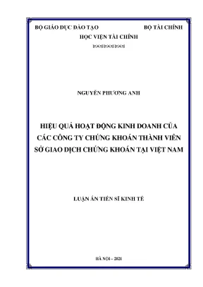Luận án tiến sĩ hiệu quả hoạt động kinh doanh của các công ty chứng khoán thành viên sở giao dịch chứng khoán tại việt nam