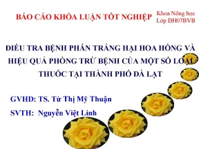 Luận văn báo cáo tốt nghiệp điều tra bệnh phấn trắng hại hoa hồng và hiệu quả phòng trừ bệnh của một số loại thuốc tại thành phố đà lạt