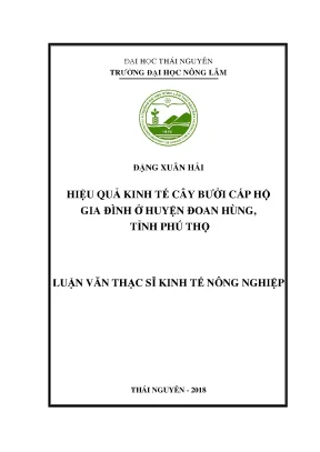 Luận văn thạc sĩ hiệu quả kinh tế cây bưởi cấp hộ gia đình ở huyện đoan hùng tỉnh phú thọ