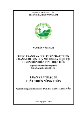 Luận văn thạc sĩ thực trạng và giải pháp phát triển chăn nuôi lợn quy mô hộ gia đình tại huyện điện biên tỉnh điện biên