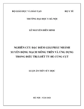 Luận án tiến sĩ nghiên cứu đặc điểm giải phẫu nhánh xuyên động mạch mông trên và ứng dụng trong điều trị loét tỳ đè cùng cụt