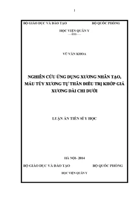 Luận án tiến sĩ nghiên cứu ứng dụng xương nhân tạo máu tủy xương tự thân điều trị khớp giả xương dài chi dưới