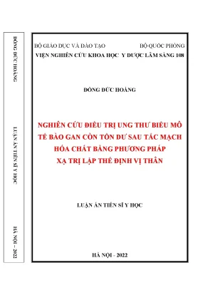 Luận án tiến sĩ nghiên cứu điều trị ung thư biểu mô tế bào gan còn tồn dư sau tắc mạch hóa chất bằng phương pháp xạ trị lập thể định vị thân
