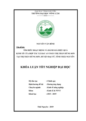 Luận văn tìm hiểu hoạt động và đánh giá hiệu quả kinh tế của hợp tác xã rau an toàn thị trấn hùng sơn tại thị trấn hùng sơn huyện đại từ tỉnh thái nguyên