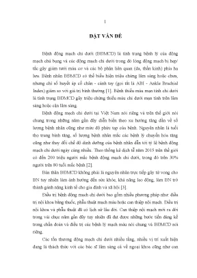 Luận án tiến sĩ kết quả áp dụng phương pháp phẫu thuật phối hợp can thiệp nội mạch một thì điều trị bệnh thiếu máu mạn tính chi dưới