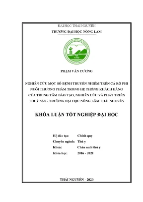 Luận văn nghiên cứu một số bệnh truyền nhiễm trên cá rô phi nuôi thương phẩm trong hệ thống khách hàng của trung tâm đào tạo nghiên cứu và phát triển thuỷ sản trường đại học nông lâm thái nguyên